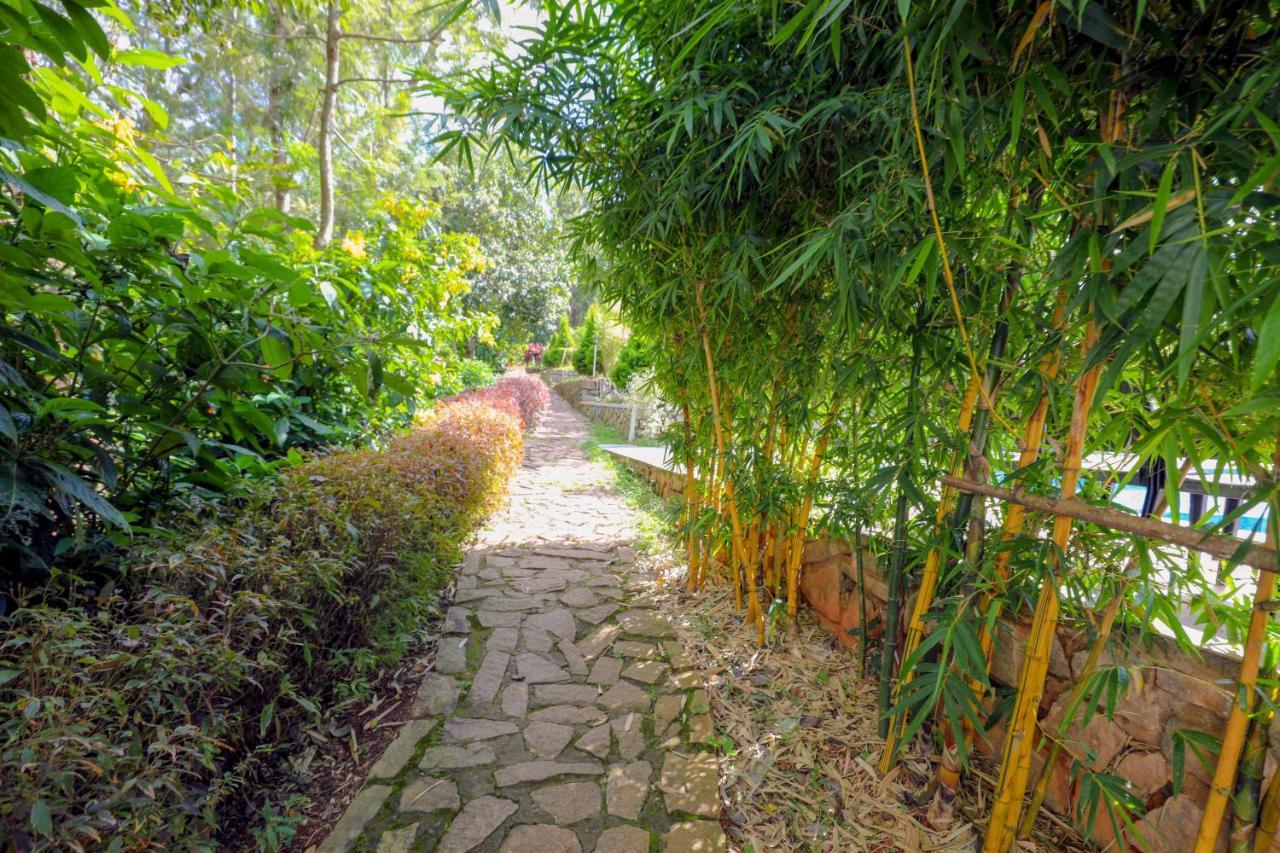 The Blossom Resort - Chikmagalur Chikmagalūr Exterior foto